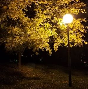 Meet your Posher, Kelli